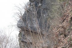 The Ponckhockie Chief