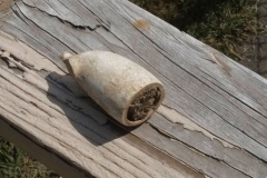 Mystery object packed with soil
