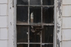 window-1-8
