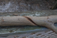 The choking effect of vines