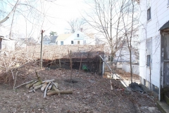 Cutting down the larger trees