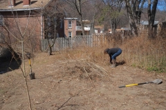 Lots of bending out to pull up the creepers