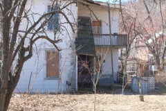 An old pear tree which we will keep for now