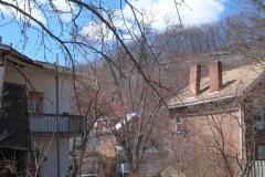 The plot is of a nice size for us