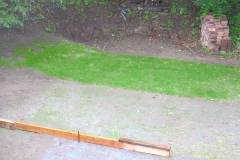 Grass three weeks on