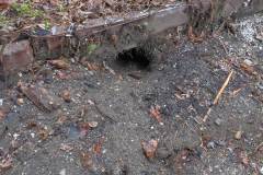 marmot holes