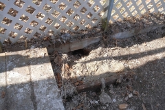 new-marmot-activity2