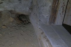 new-marmot-activity3