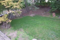 new lawn 