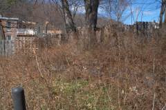 Shame the wall isn't blue stone