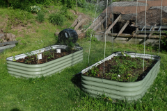 raised-vegitable-beds