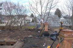 Neighbours to the rear