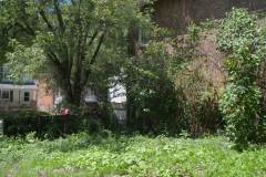 side garden clear up