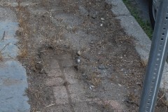 Sidewalk clean up