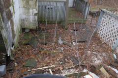The Bad Part Series. The Back Deck
