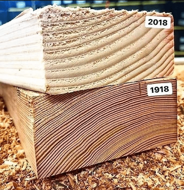 Old growth versus new growth wood. Credit Hull Works architectural millwork, residential construction & historic restoration